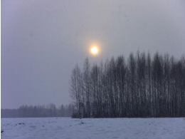 Elck battue - 2012