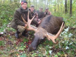 Hunt results. Elk hunting during the rut 2013