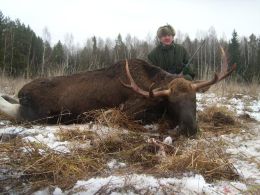 Elck battue 2009
