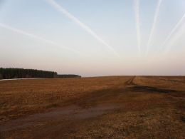 Spring hunting - 2010