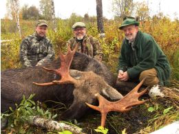 The results of the hunt on elk during the rut 2014