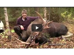 Video-Referenz Elchrufjagd