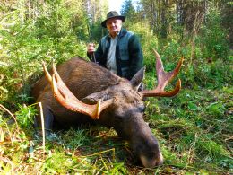 Jagd auf Bär und Elch in Udmurtien vom 04.09.2009 – 12.09.2009