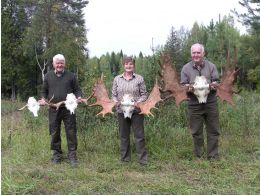Hunt results 2011. Elk hunting during the rut.